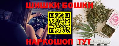 ГАЛЛЮЦИНОГЕННЫЕ ГРИБЫ Сланцы