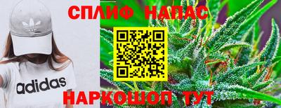 ГАЛЛЮЦИНОГЕННЫЕ ГРИБЫ Сланцы