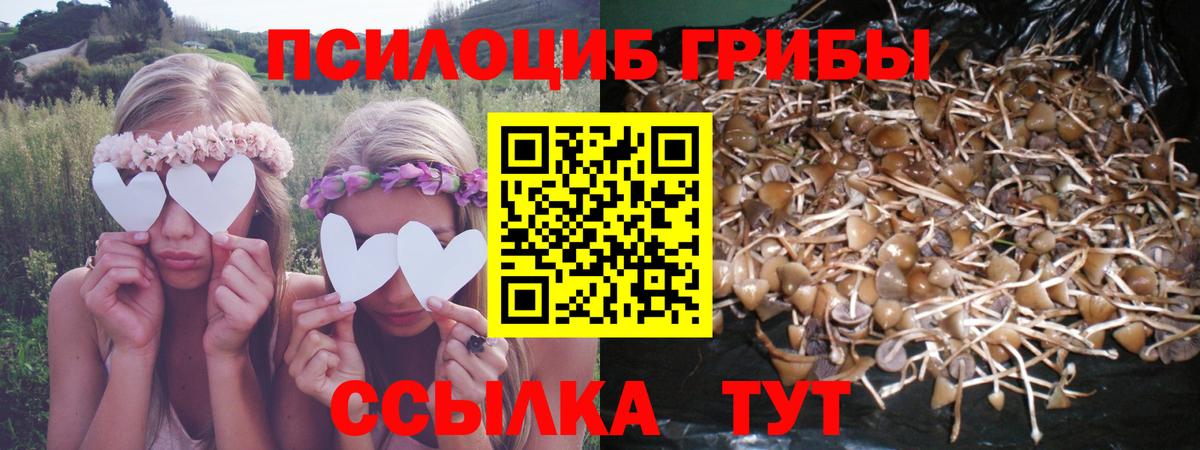Псилоцибиновые грибы ЛСД  Вход с VPN  Ревда 